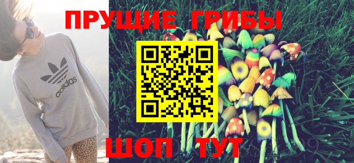 Псилоцибиновые грибы Psilocybine cubensis Рязань