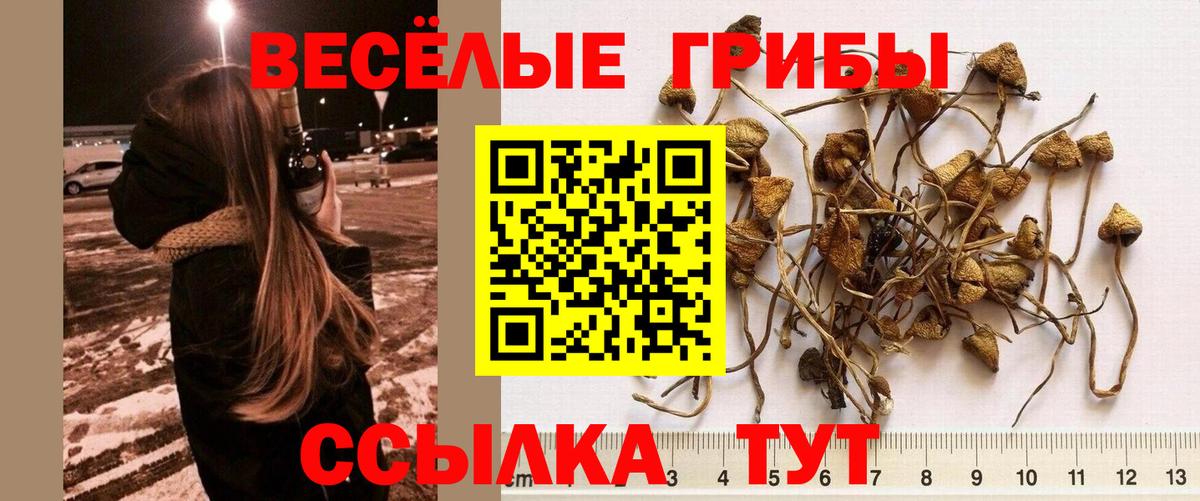Рязань  Галлюциногенные грибы MAGIC MUSHROOMS  Вход с VPN 